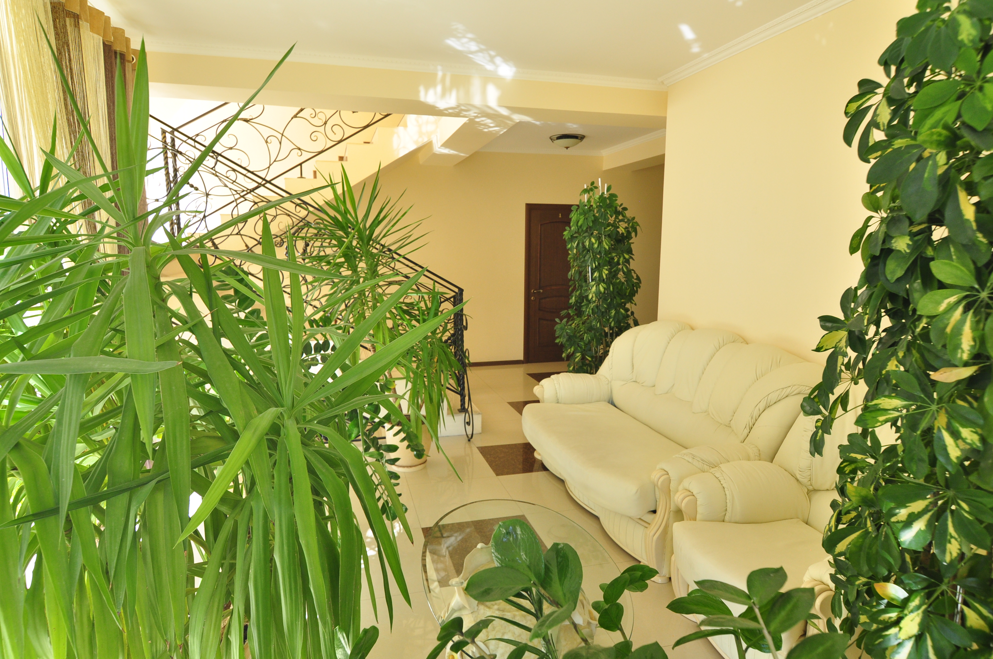 Фото Астория