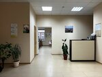 Domofey (ulitsa Przhevalskogo, 7/2) ، وكالة عقارية
