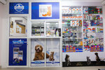 Usi Lisi (Leninsky Avenue, 90), veterinary clinic