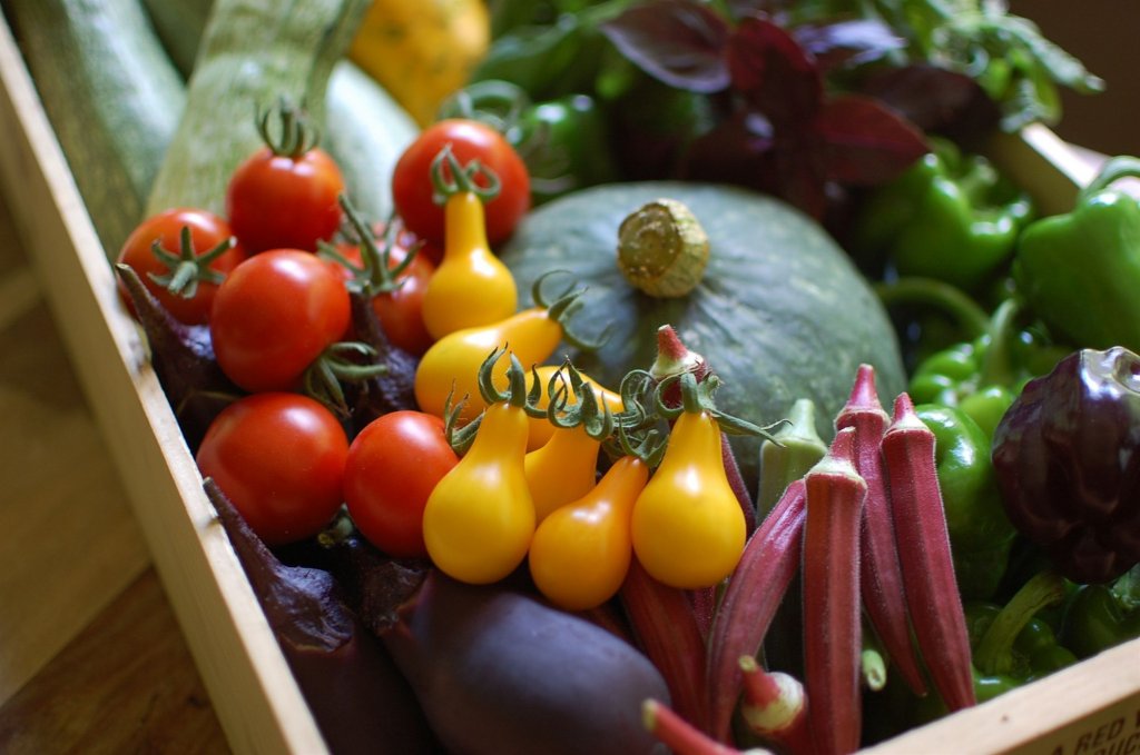 Фото Albego Il Bosco