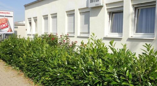 Гостиница Hotel DenRiKo в Лаймене