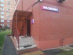 Wildberries (Lenina Avenue, 132), point of delivery