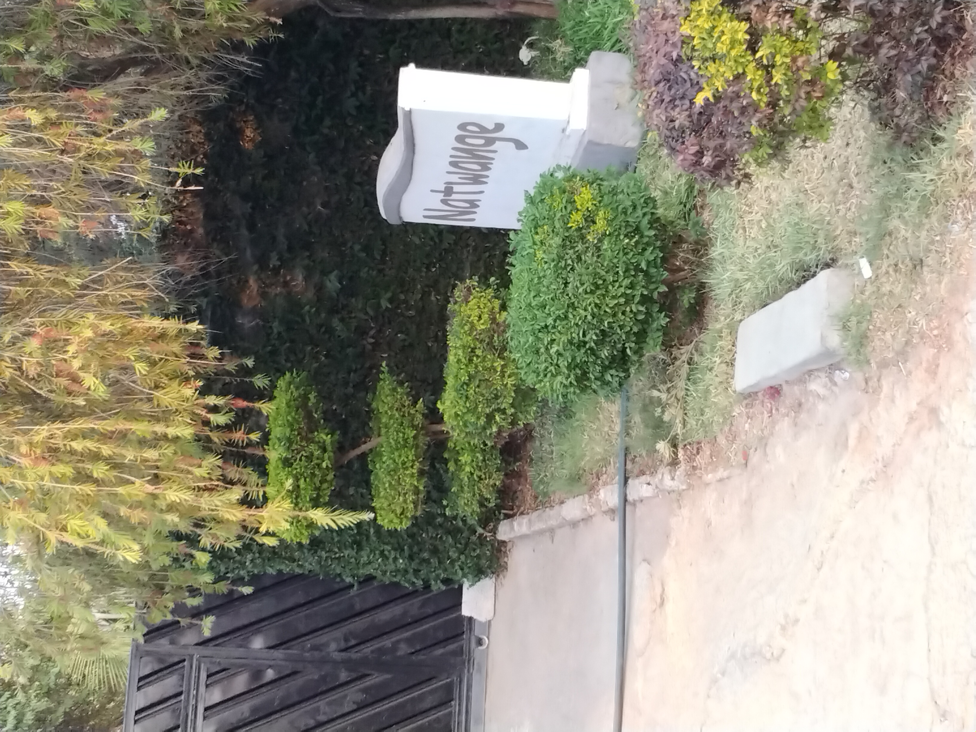 Фото Natwange Backpackers