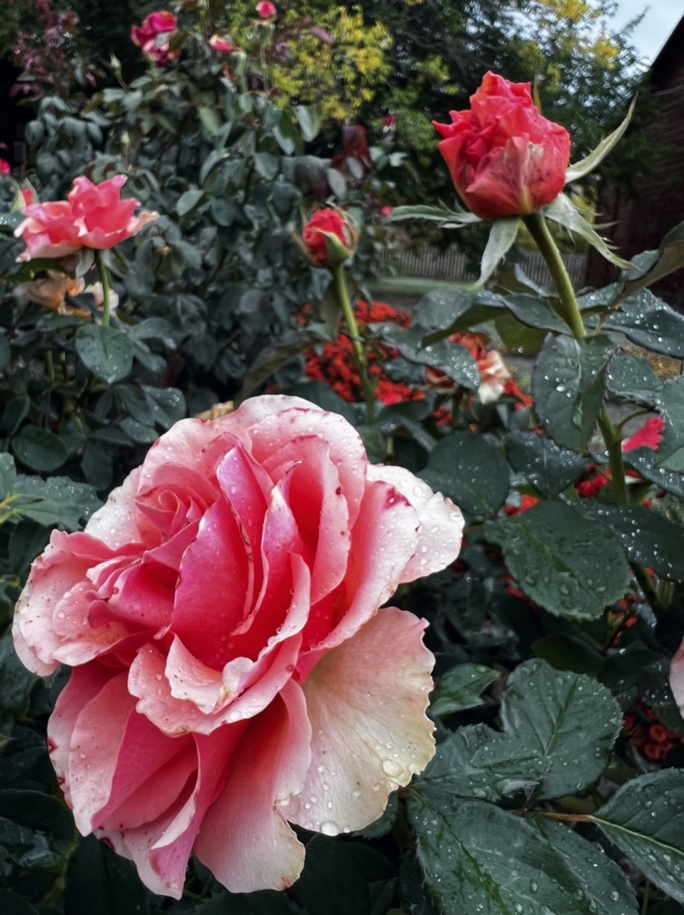 Фото Пристань рыбака