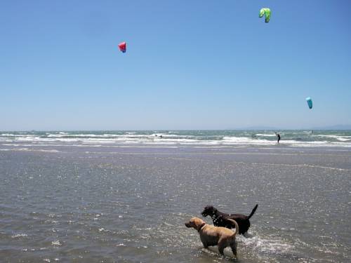 Фото Hotel Parco delle Cale