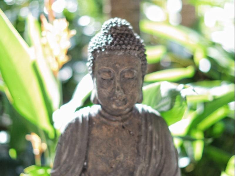 Фото Pullman Palm Cove Sea Temple Resort and SPA