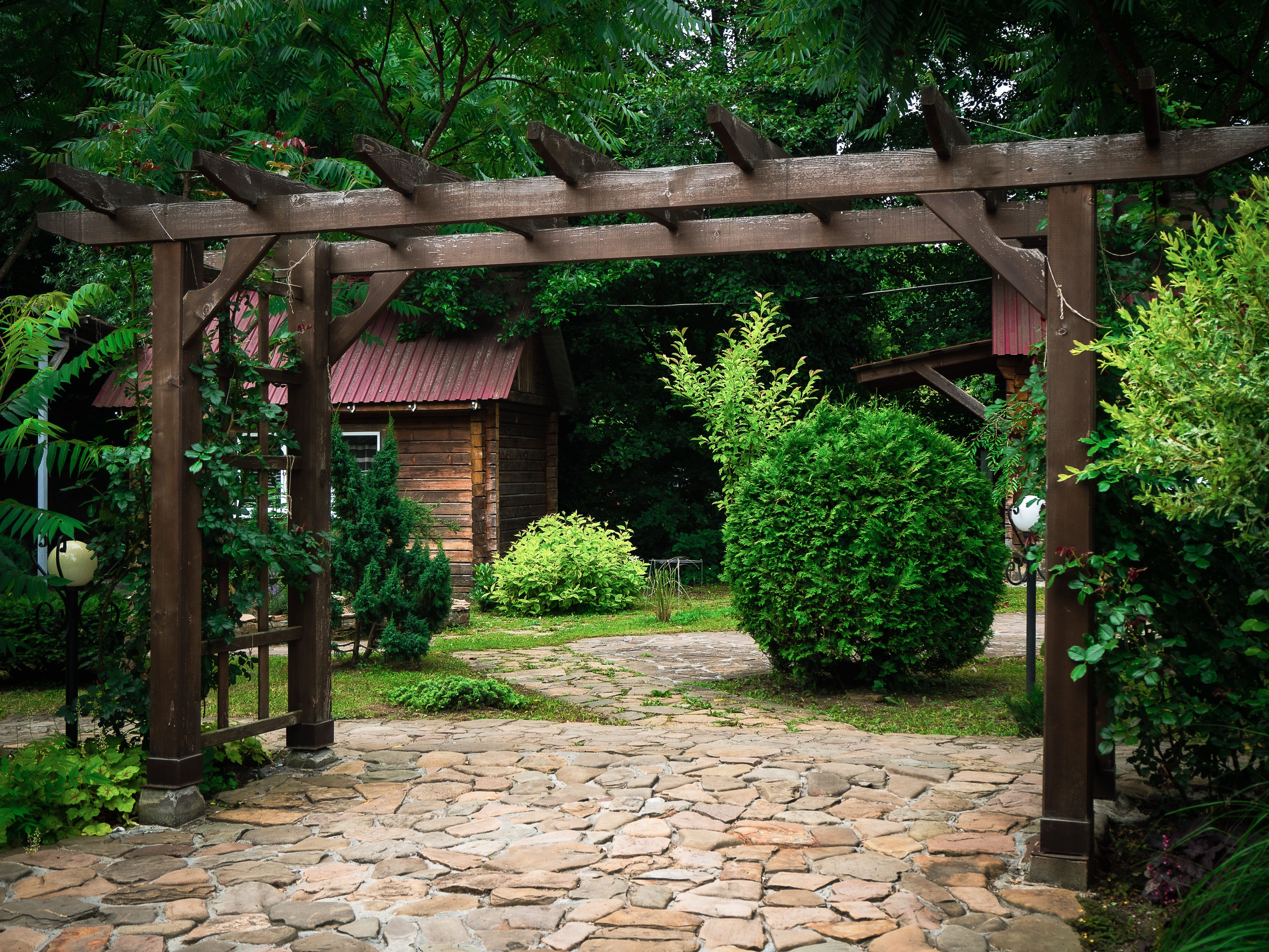 Фото Volkov Family