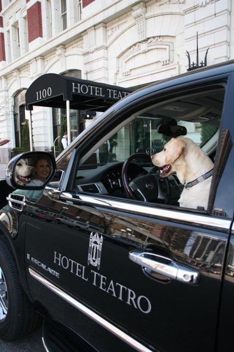 Фото Hotel Teatro