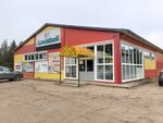 ТЦ Домовенок (selo Syamzha, Molodyozhnaya ulitsa, 26), tienda de construcción