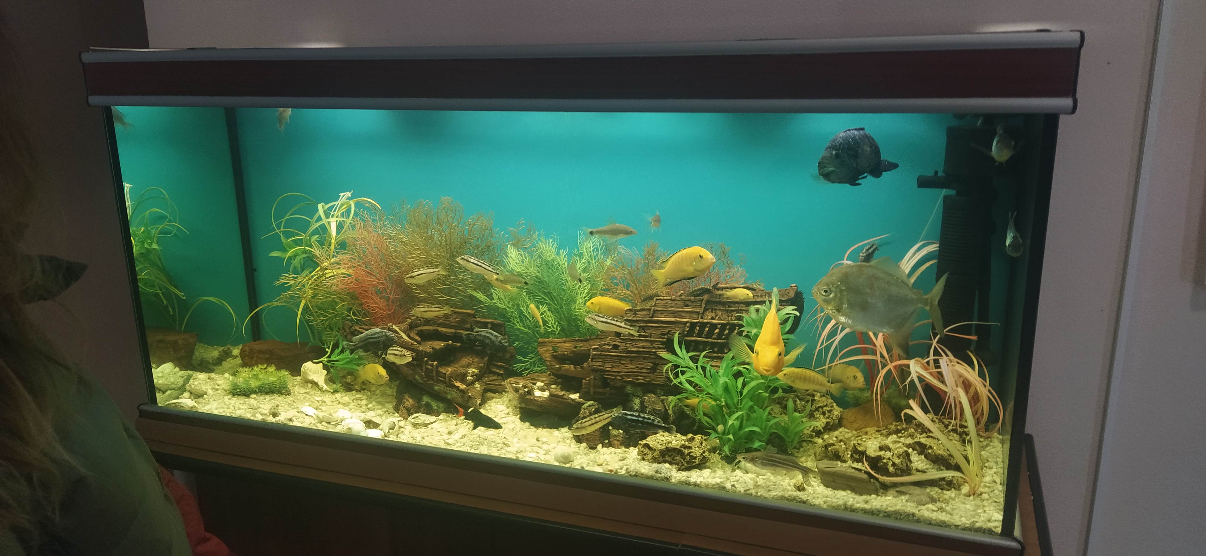 Фото Над Енисеем