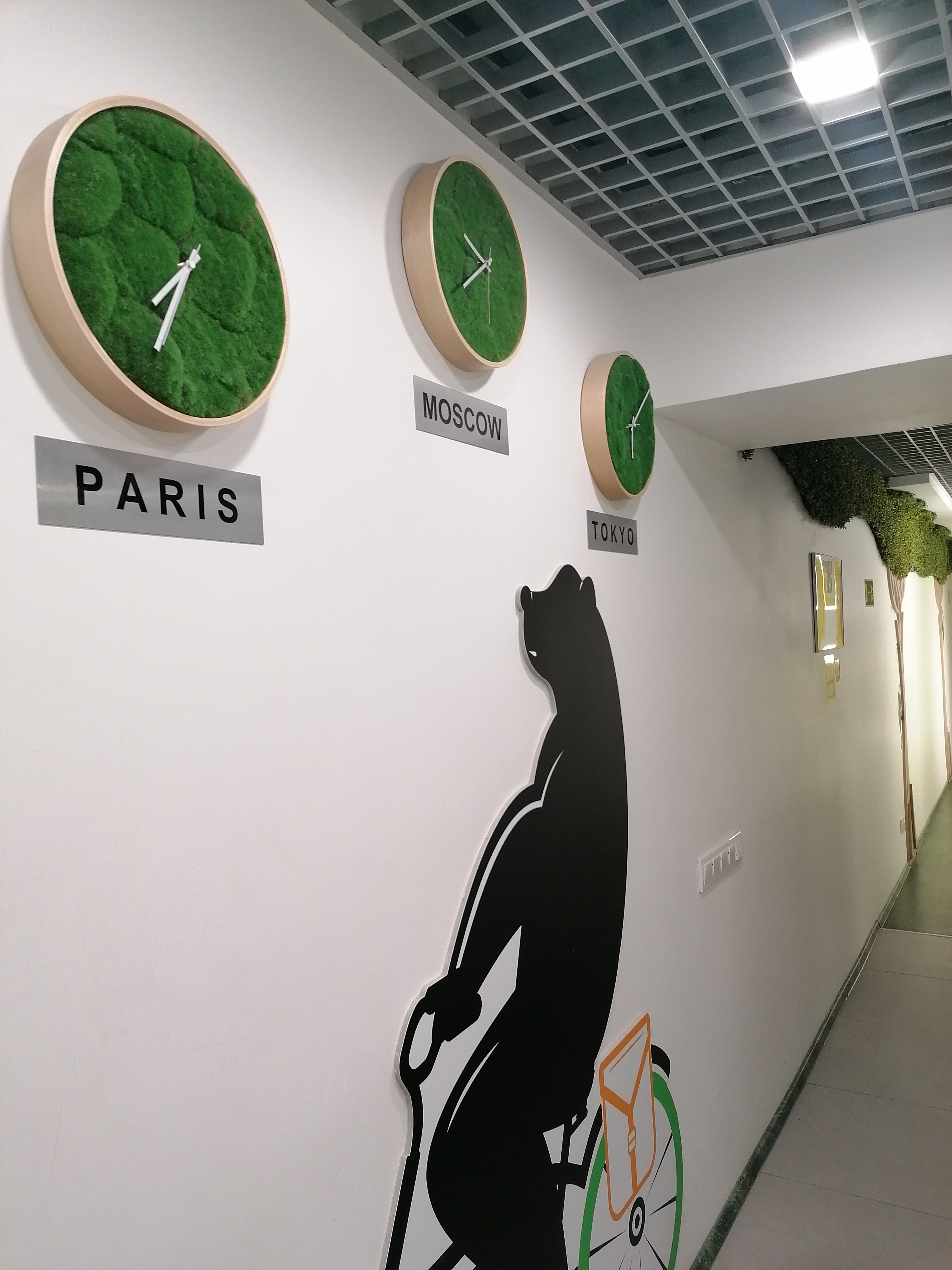 Фото City Garden