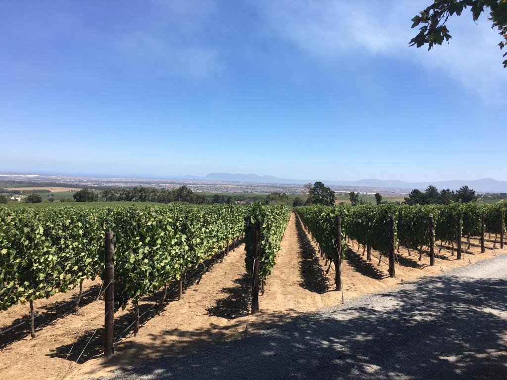 Фото Hawksmoor House