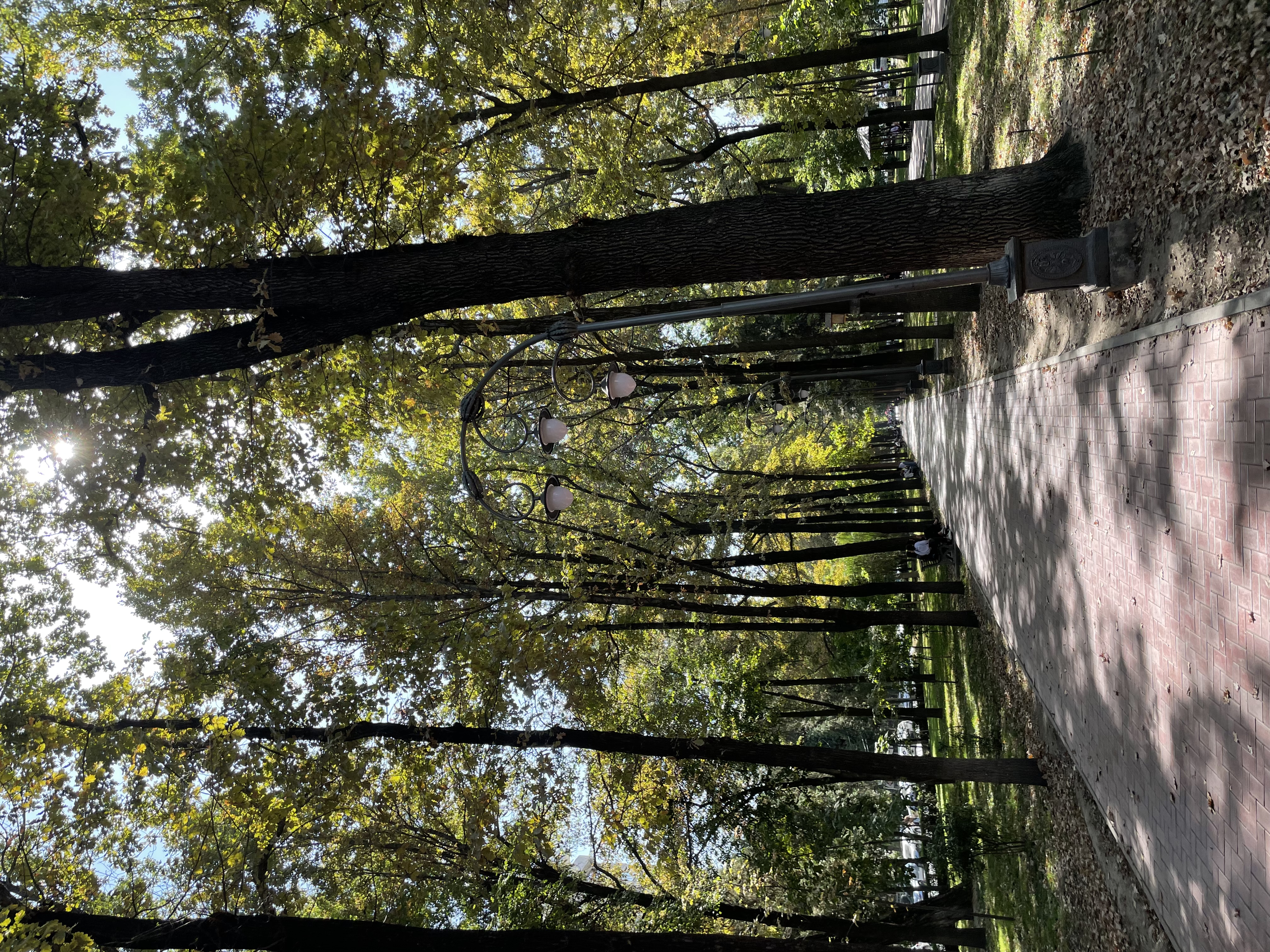 Фото Orion Hotel