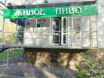 Визит (mikrorayon Zelyonaya Roshcha, Voronova Street, 21) ، متجر بيع البيرة