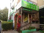 Театр цветов (ул. Мустая Карима, 47), магазин цветов в Уфе