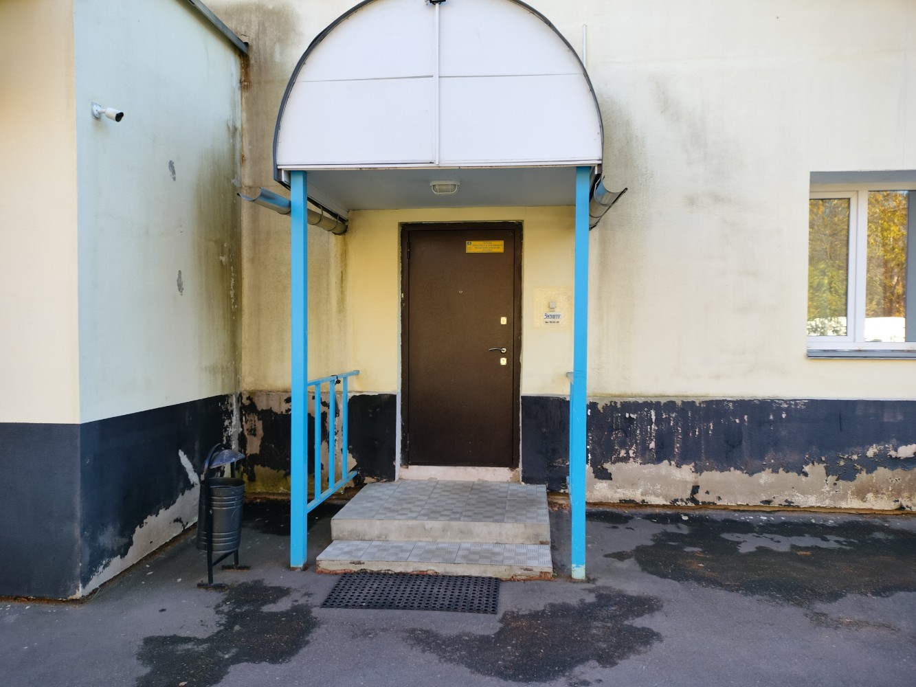 Фото Ленивый жираф