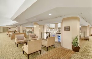 Hilton Anaheim (United States, Anaheim, 777 W Convention Way) ، فندق