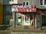Цветочное счастье (mikrorayon Nanzhul-Solnechny, Olkhovaya ulitsa, 4) ، محل زهور
