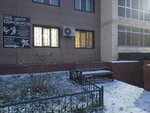 Seyfulla team (Buqar Jyraý kóshesі, 30/1) ، نادي رياضي، مجموعة