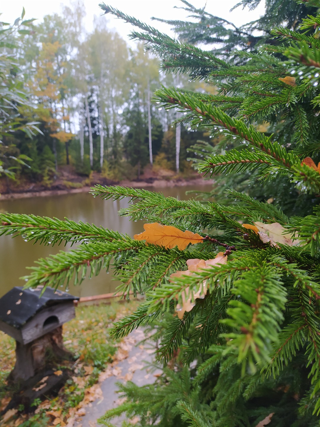 Фото База отдыха Ючмер