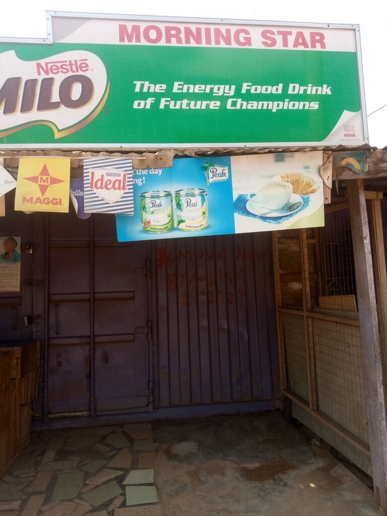 Grocery Morning Star Provisions Store, Earth, photo