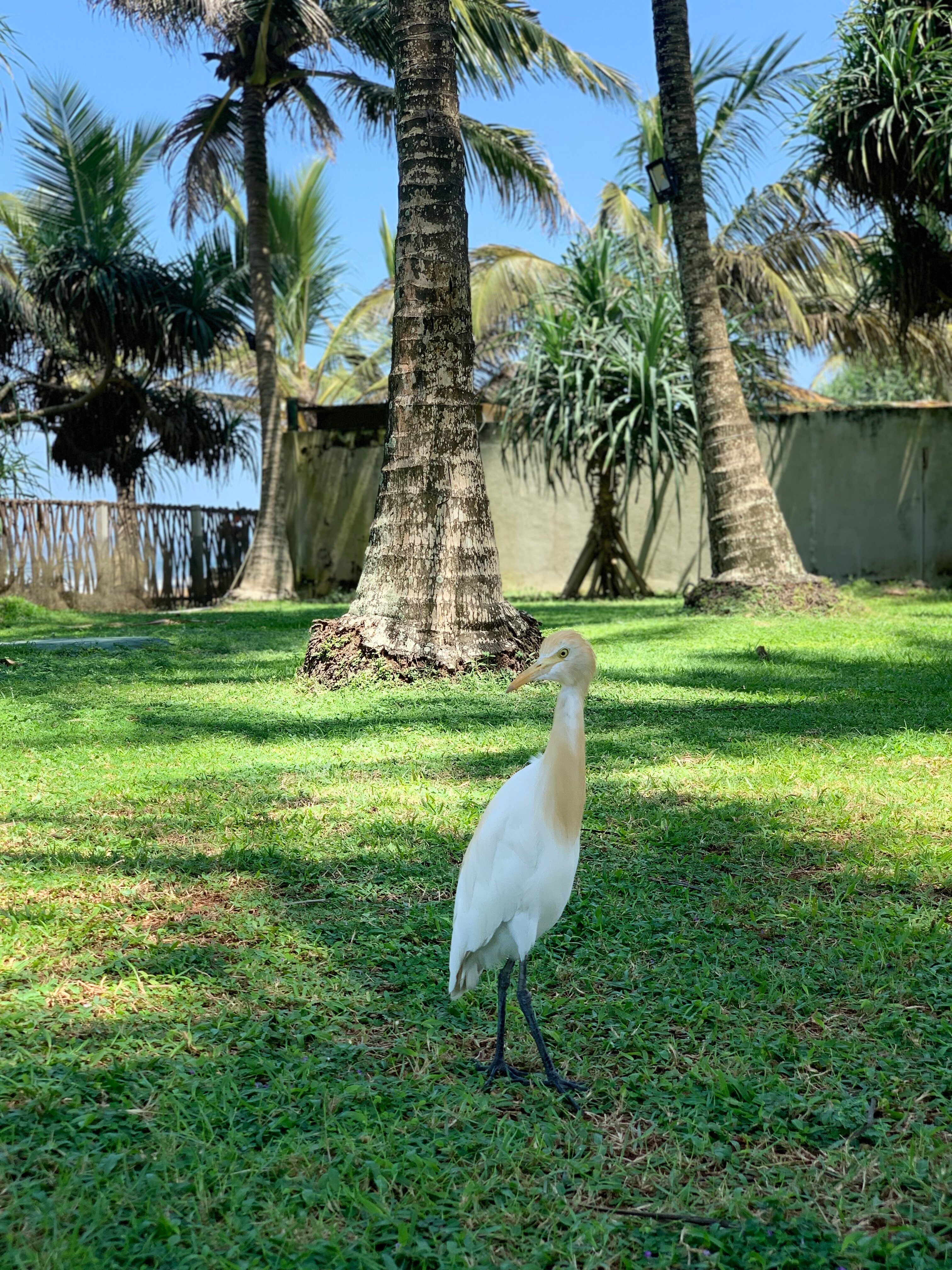 Фото The Blue Water