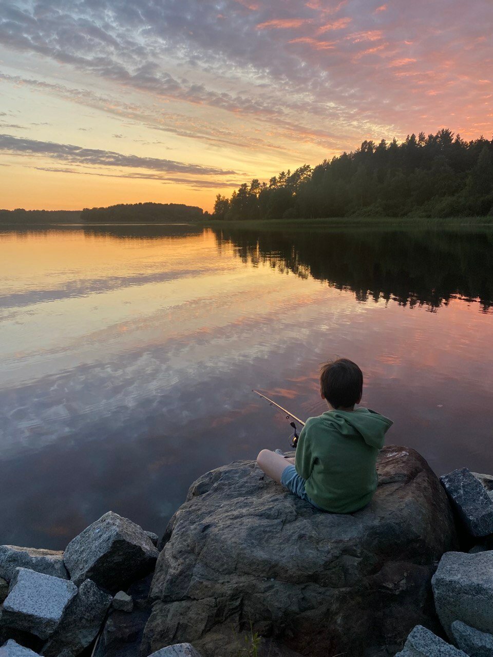 Фото Липпола