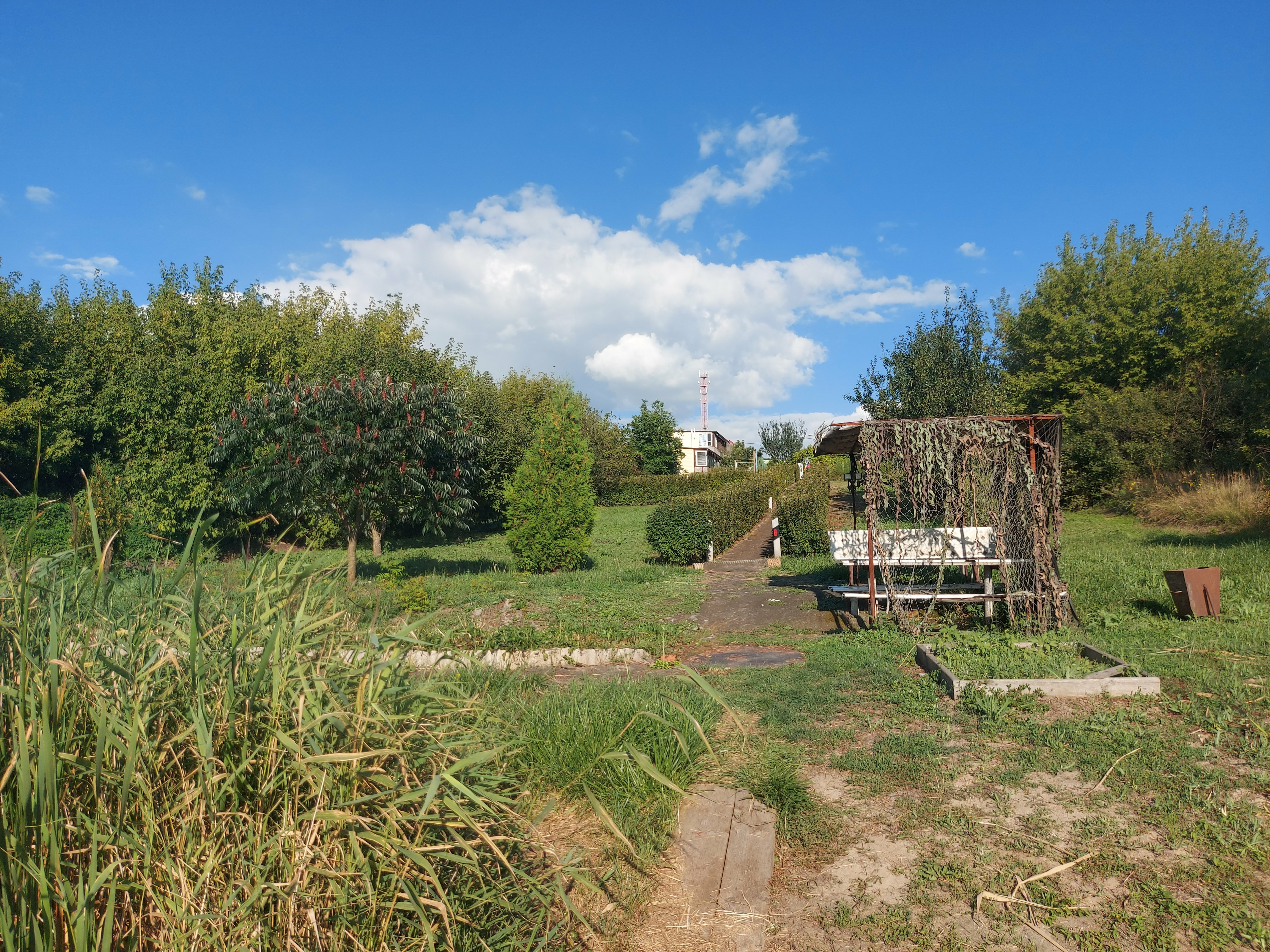 Фото Ивушка