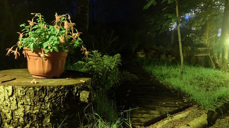 Yagodavillage — фото 44