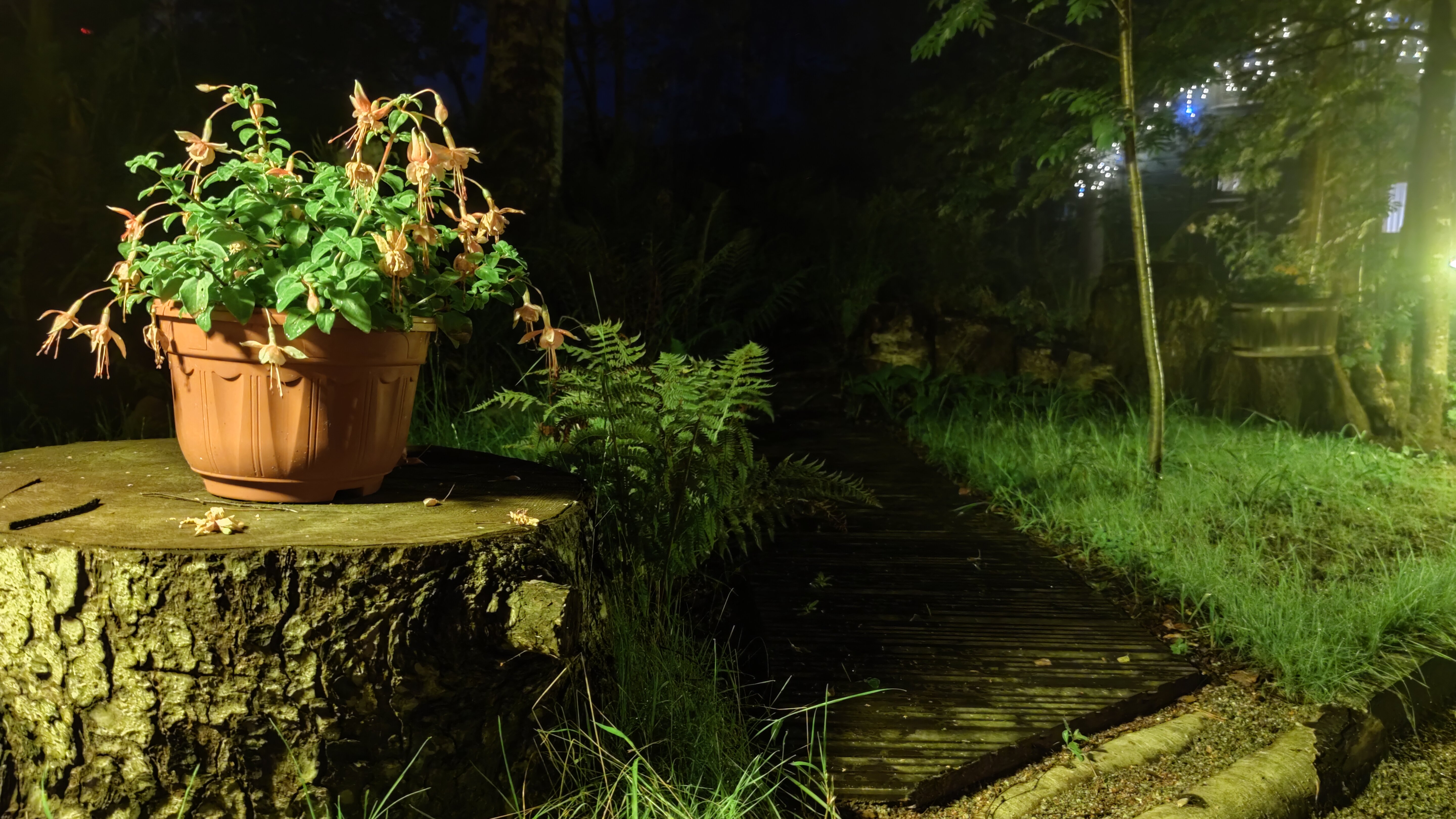 Фото Yagodavillage