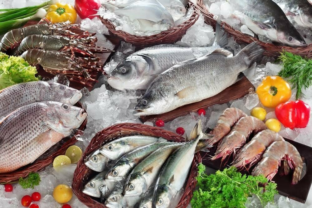 Как выглядит свежая рыба Рыбные продукты