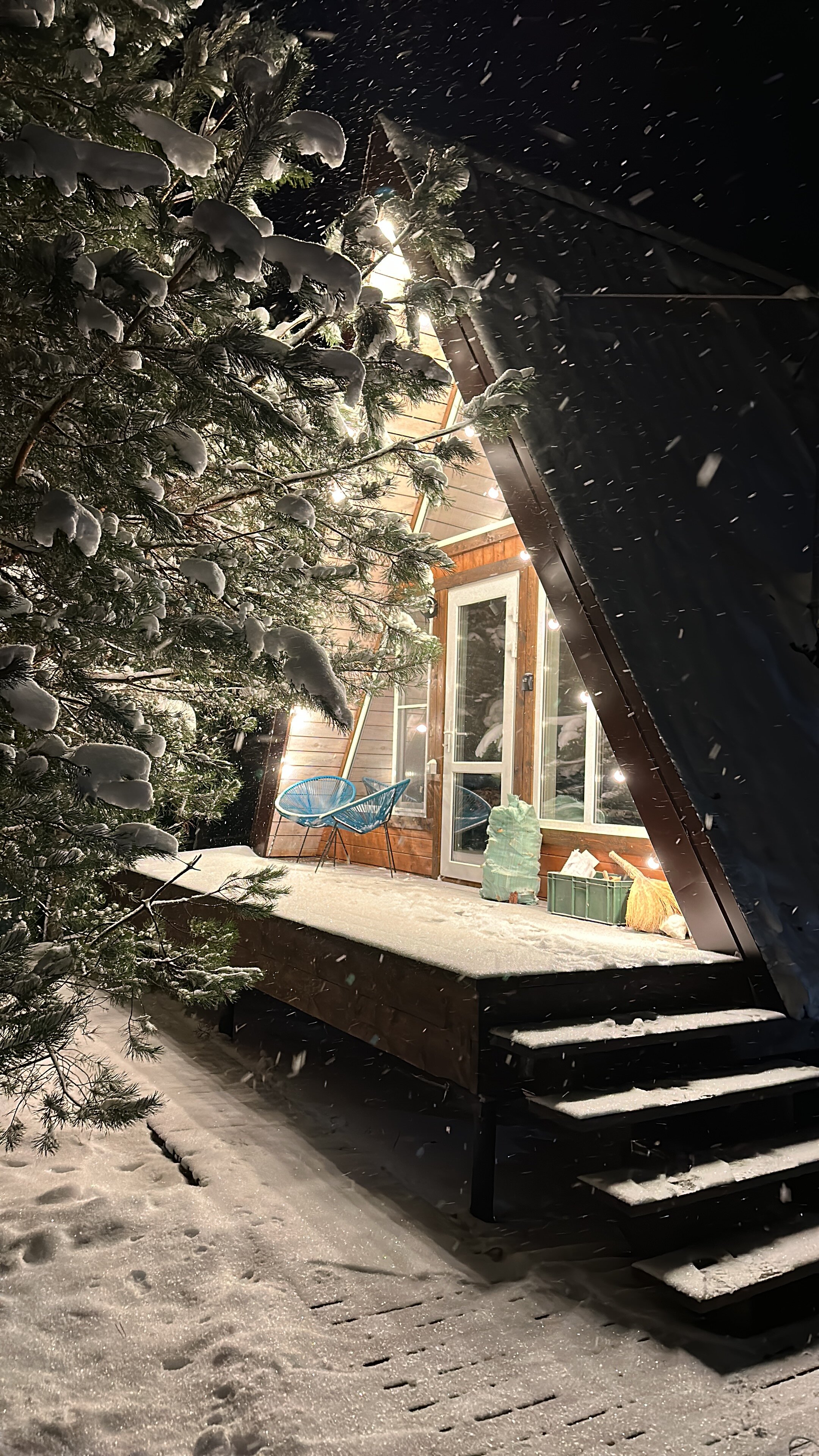 Фото Мишкино