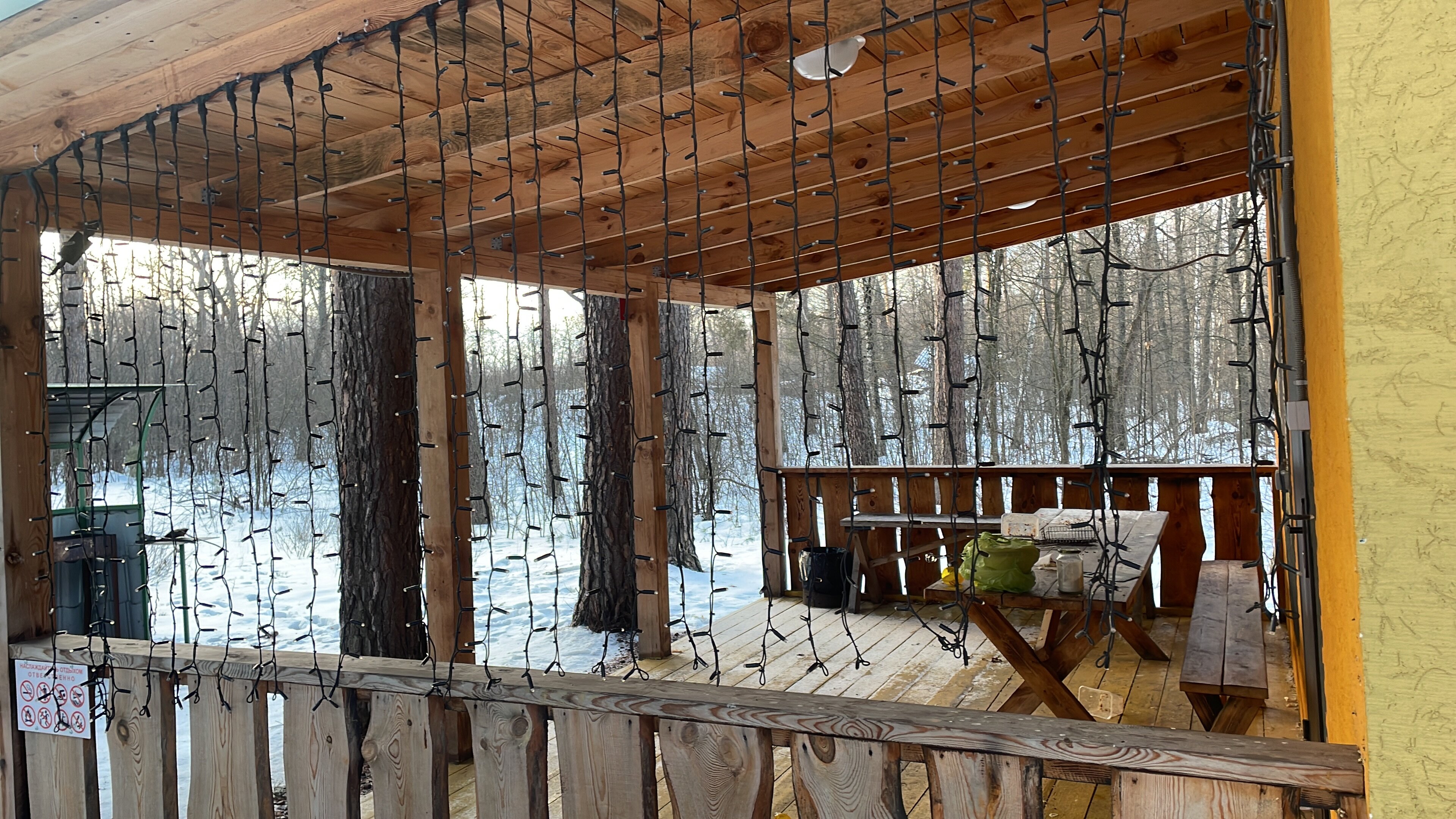 Фото Лесная дача