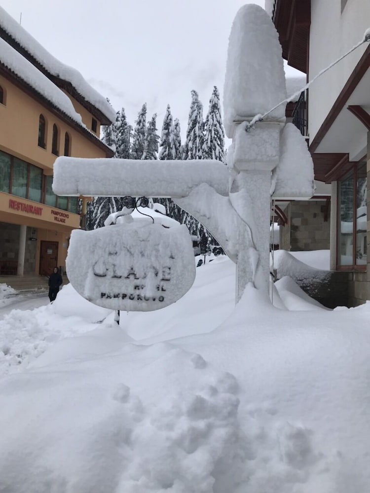 Фото Forest Glade