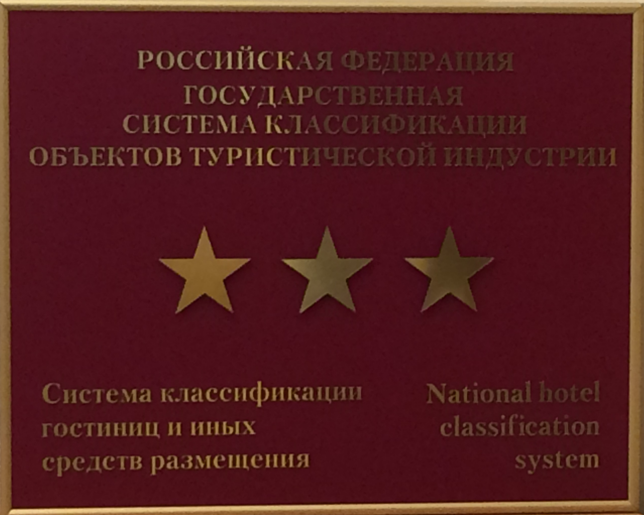 Фото Фламинго