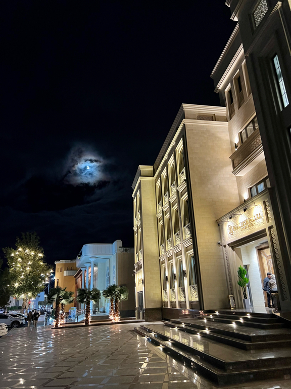 Фото Paradise Plaza Luxury Hotel