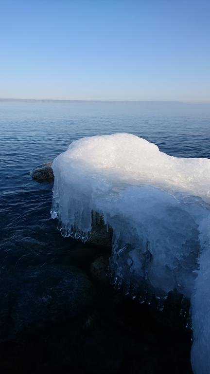 Фото Baikal Best Edelweiss