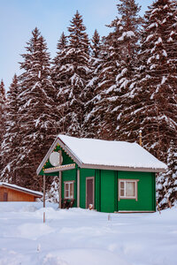 LBerry Karelia