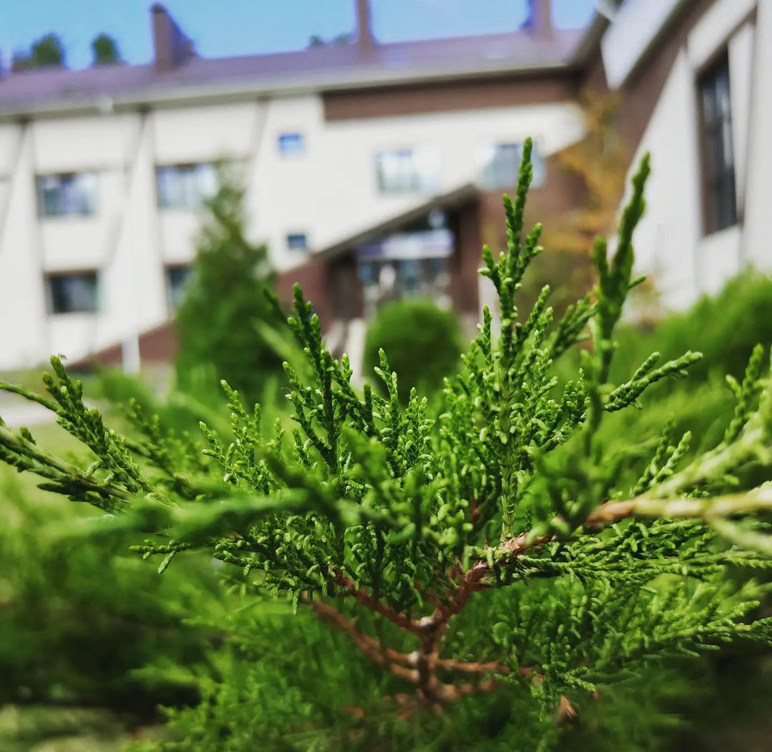 Фото Олимпия