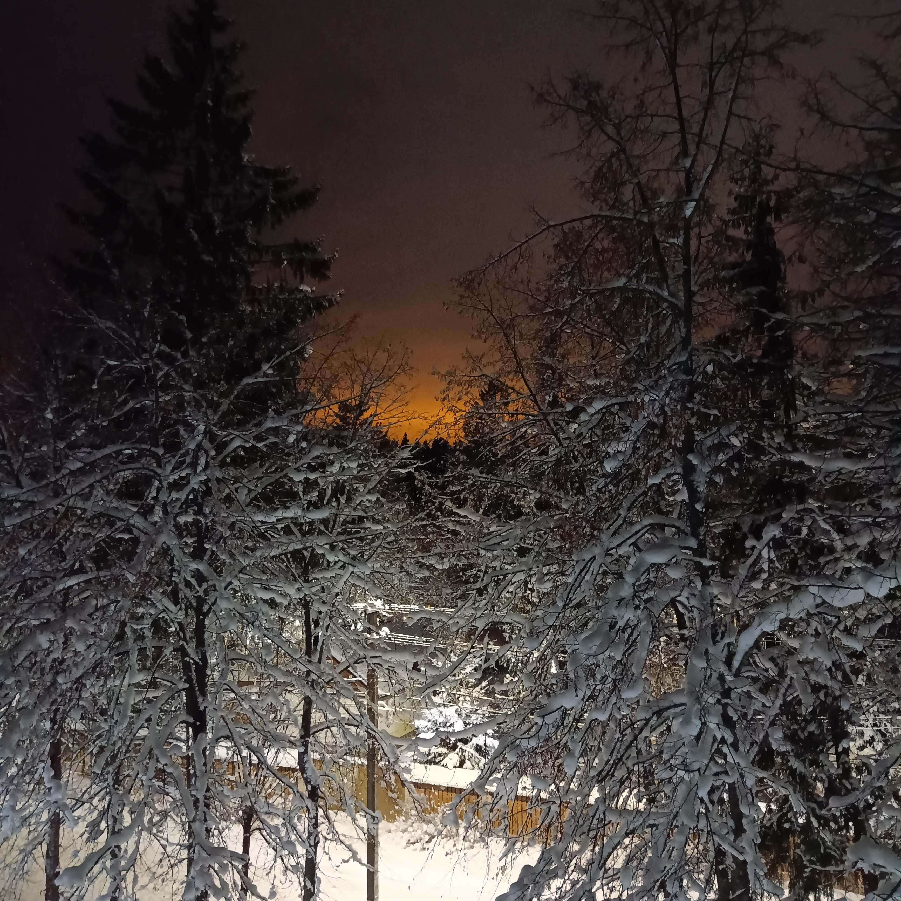 Фото Мельничный Ручей