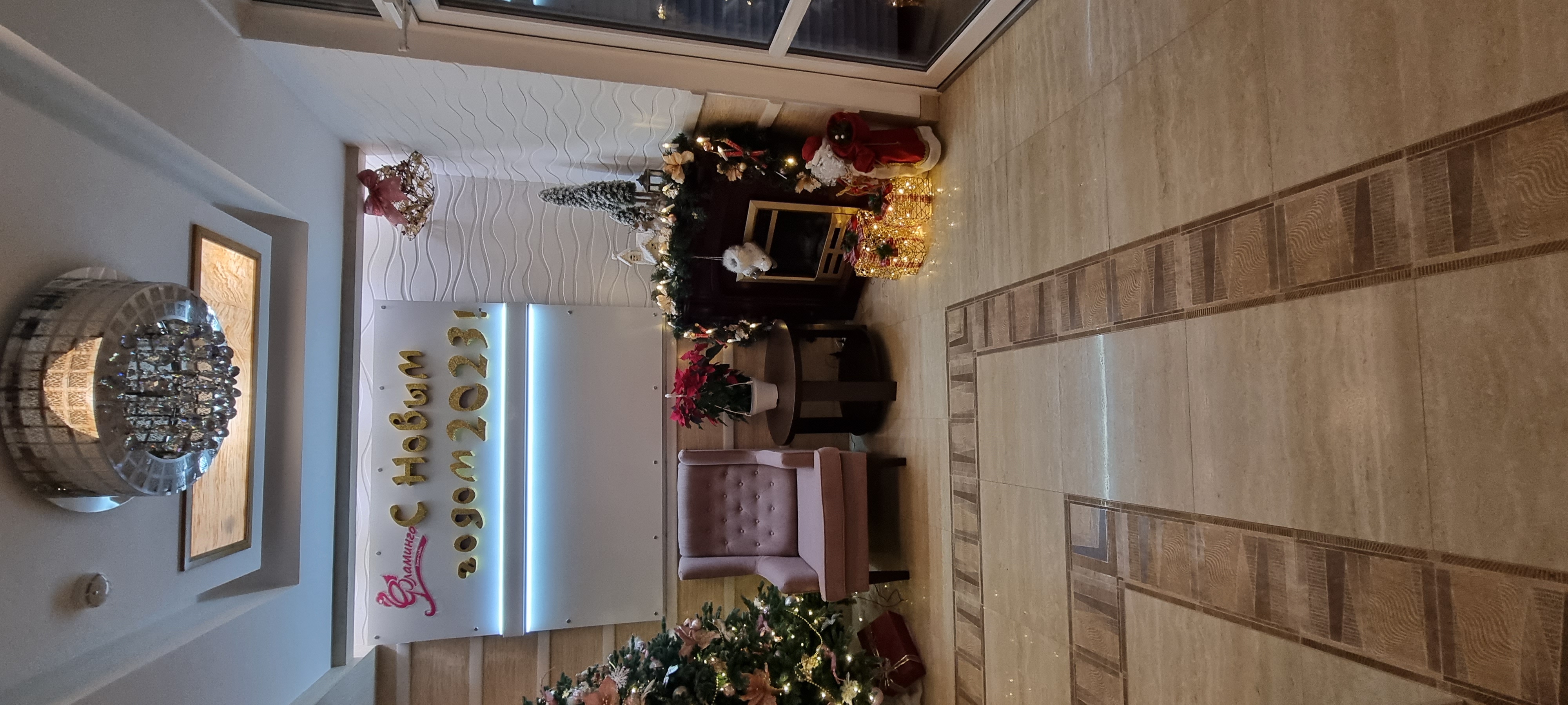 Фото Фламинго