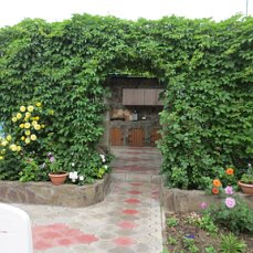 Фото Анастасия