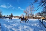 Equestrian Center Losiny Ostrov (Vodoprovodnaya alleya, 9), horse riding