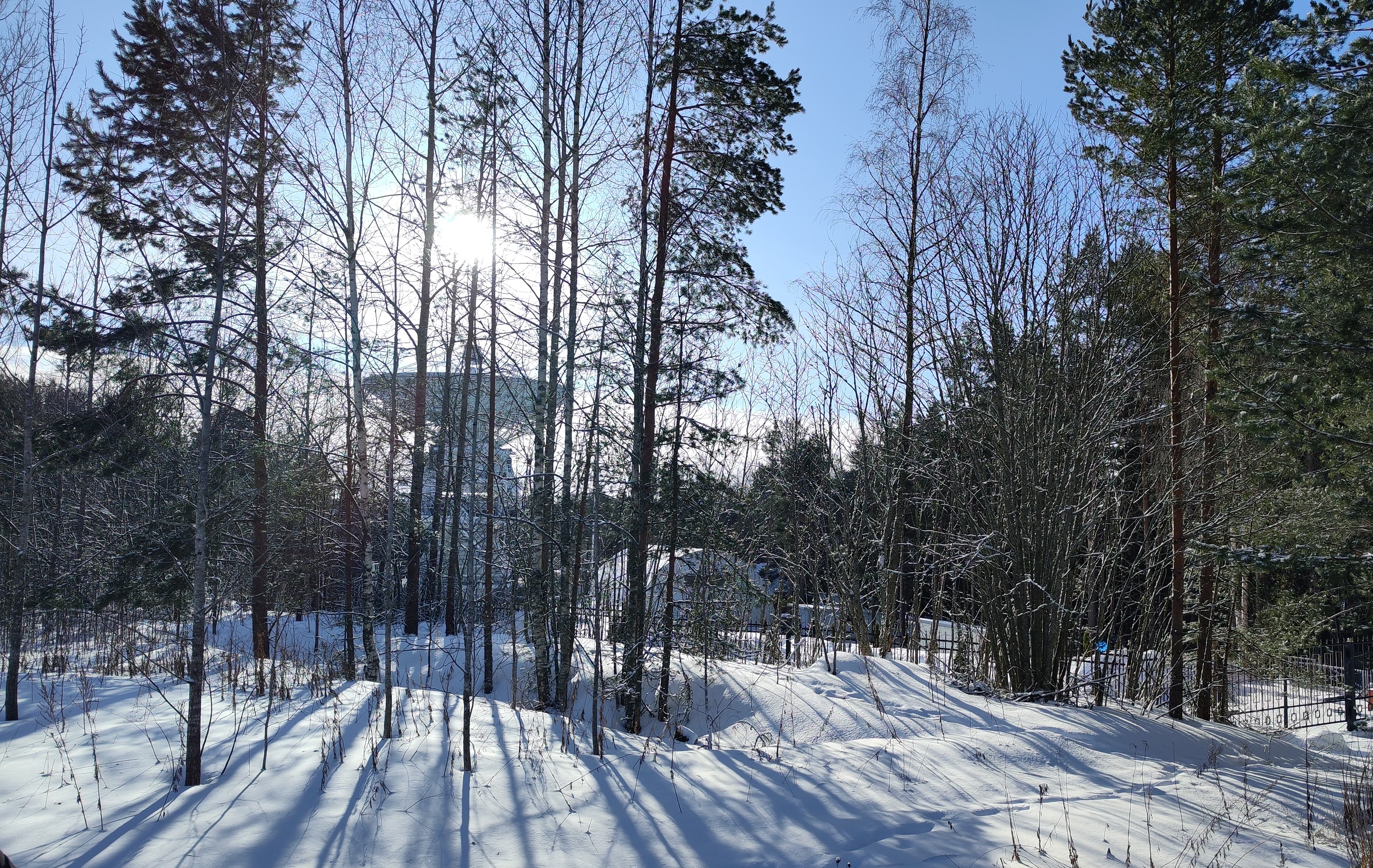 Фото Йети на комете