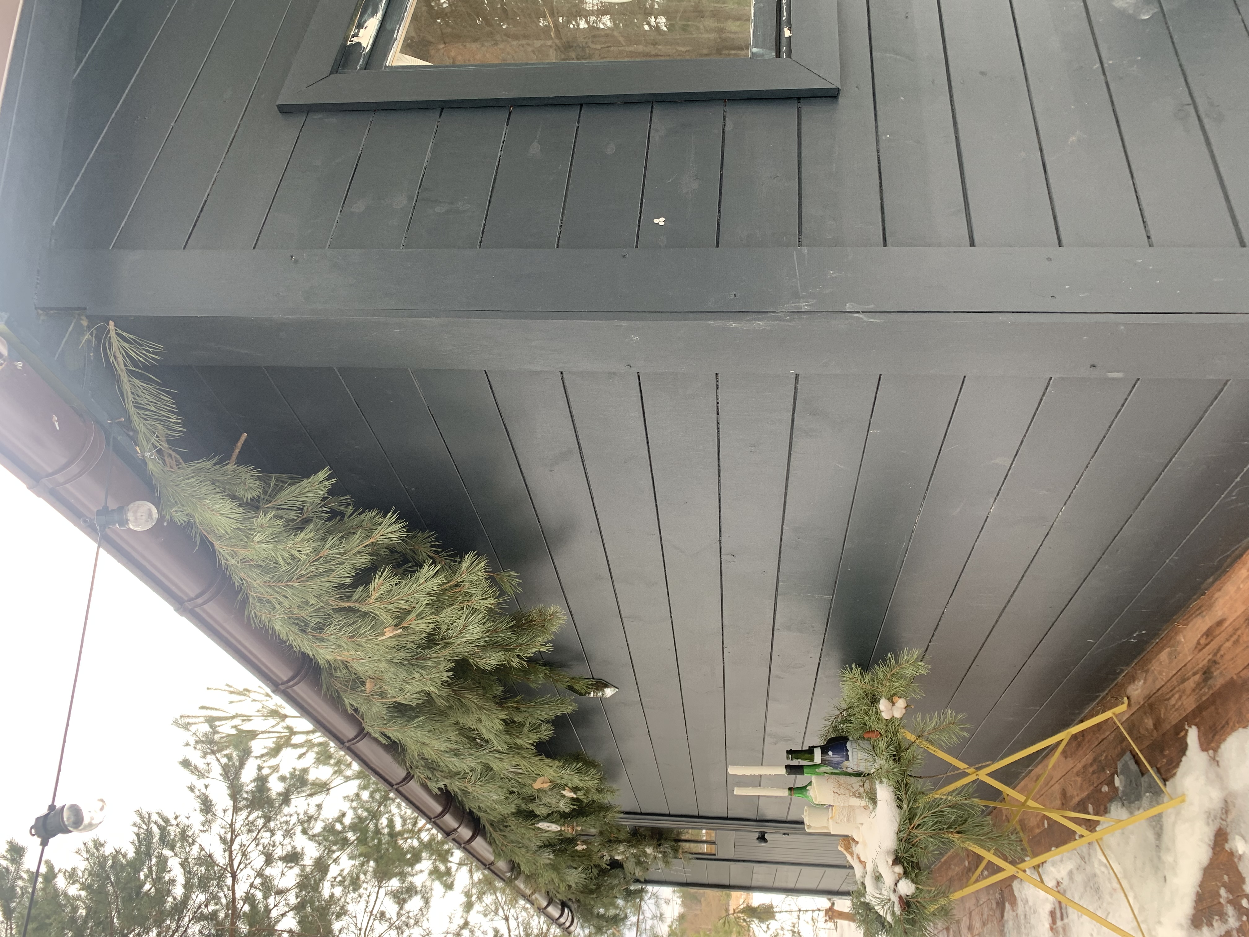 Фото TinyDacha можжевельник