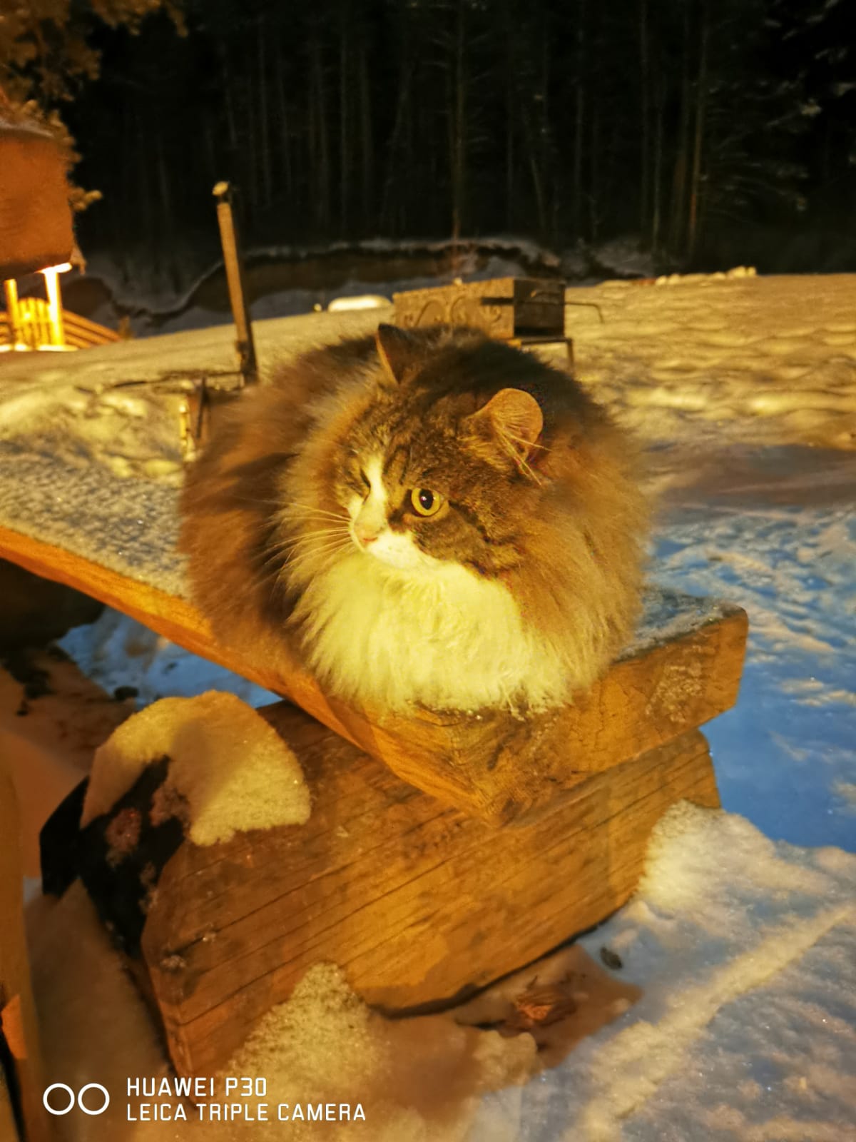 Фото Островок