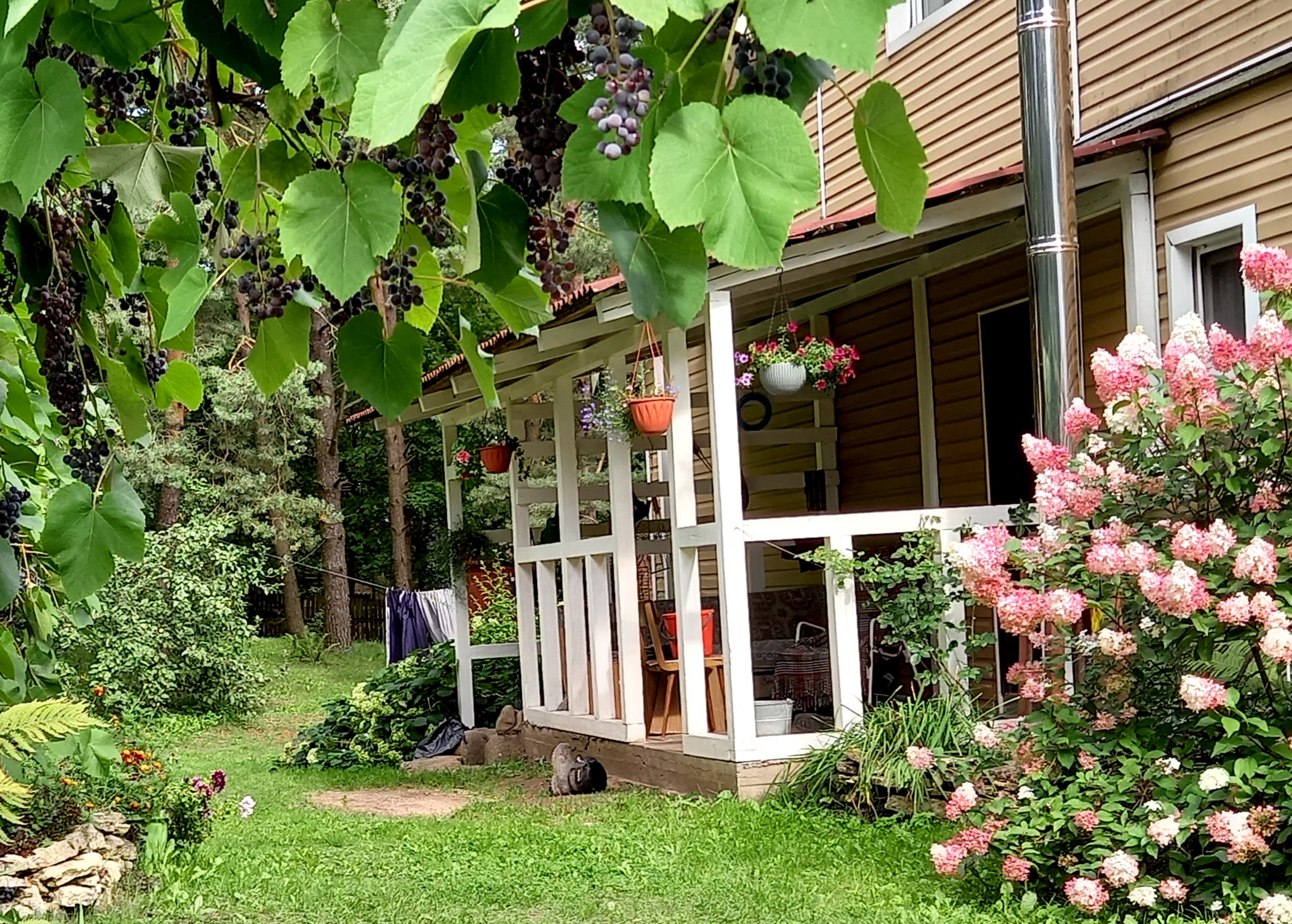 Фото Дом у сосен