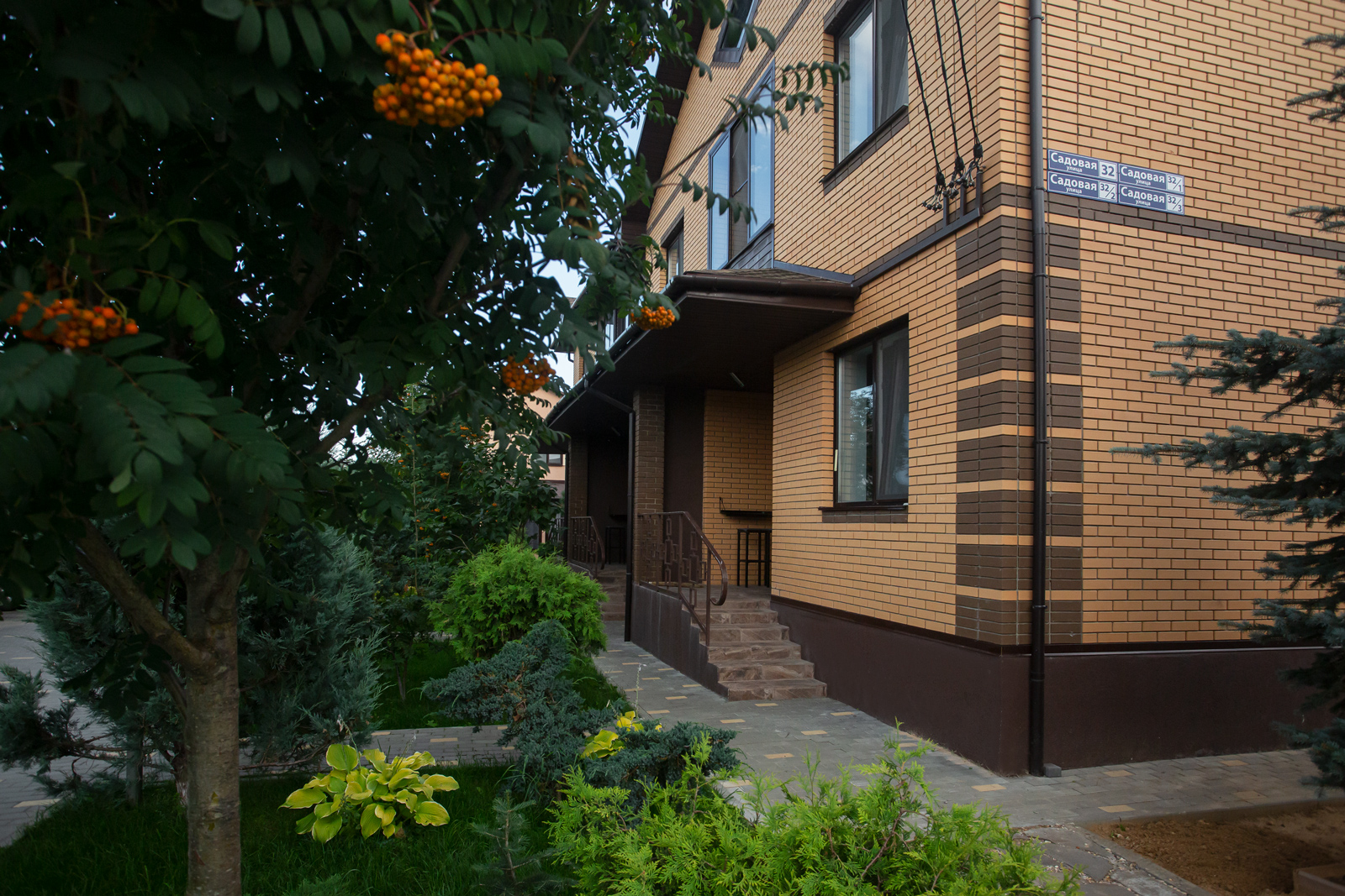 Фото Тополя