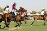 Dubai Polo and Equestrian Club (2/11, Al Qudra Street, Dubai), horse riding