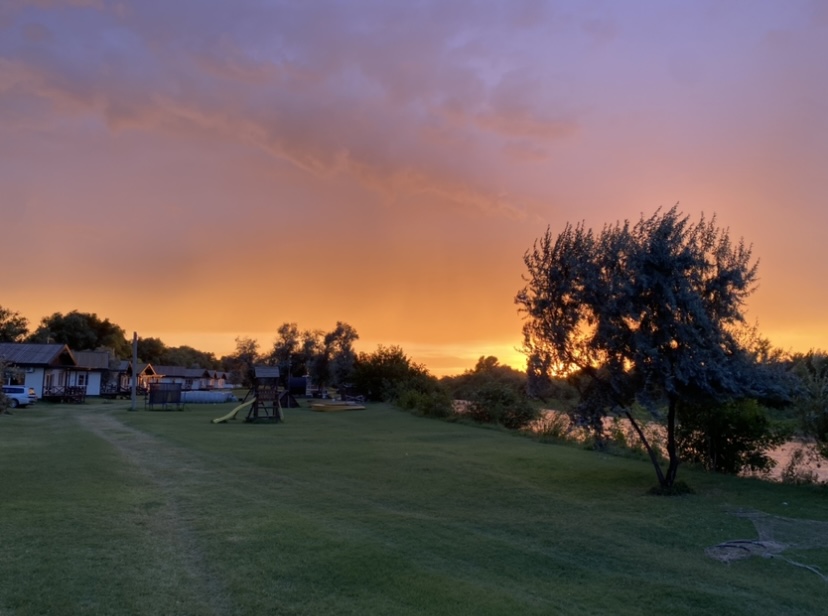 Фото Берлога